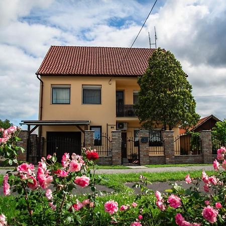 Monika Vendeghaz Hotel Mórahalom Екстериор снимка